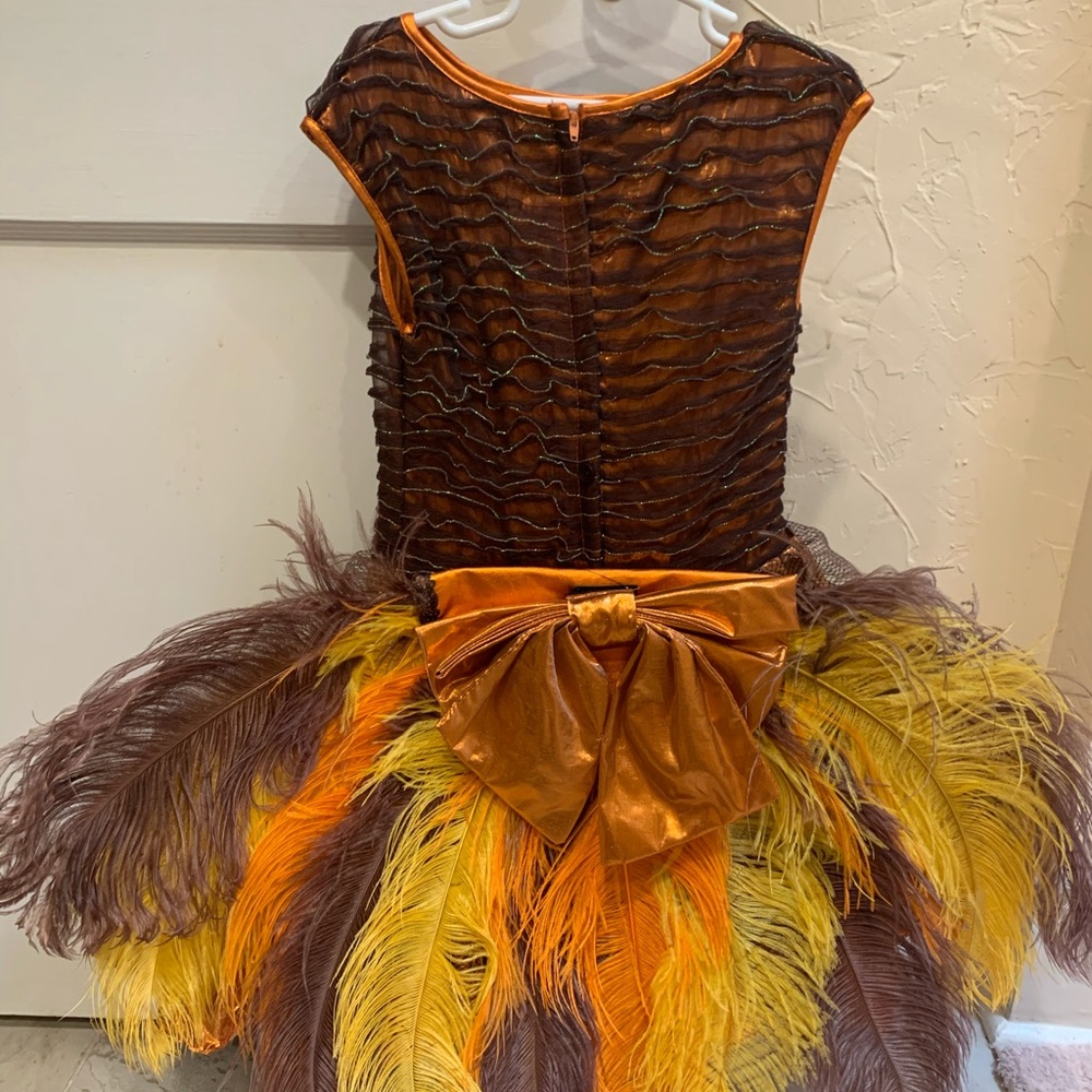 Wishcraft kids turkey costume